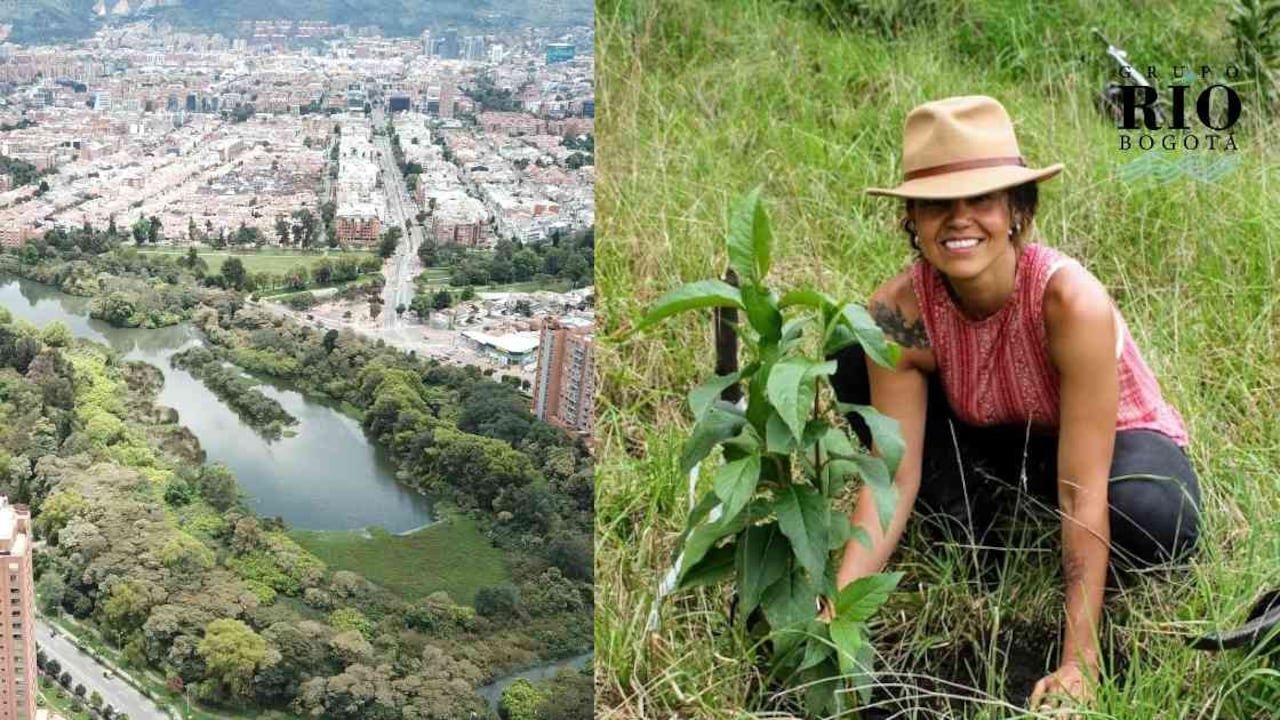 Bogotá reactiva varios de sus escenarios ambientales. Fotos: Nicolás Acevedo Ortiz y Fundación Humedales Bogotá.