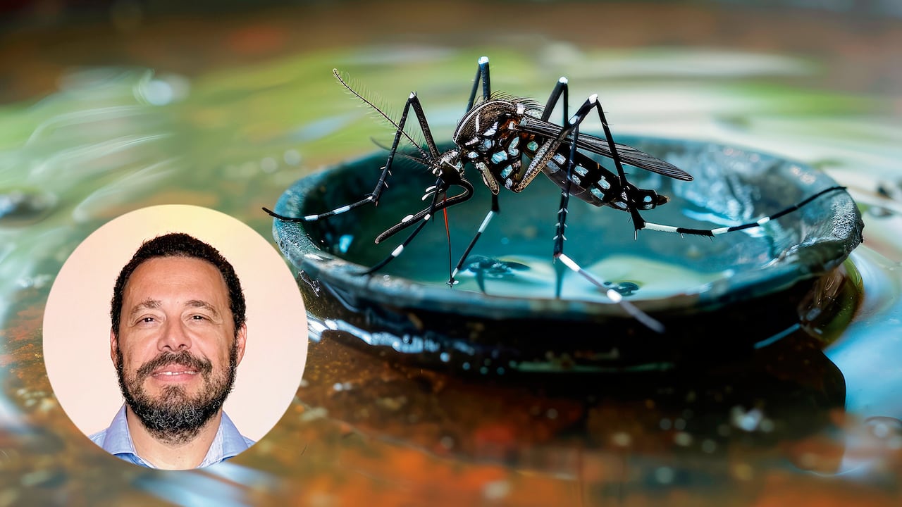 VID- DENGUE LATAM Dengue la amenaza que se expande