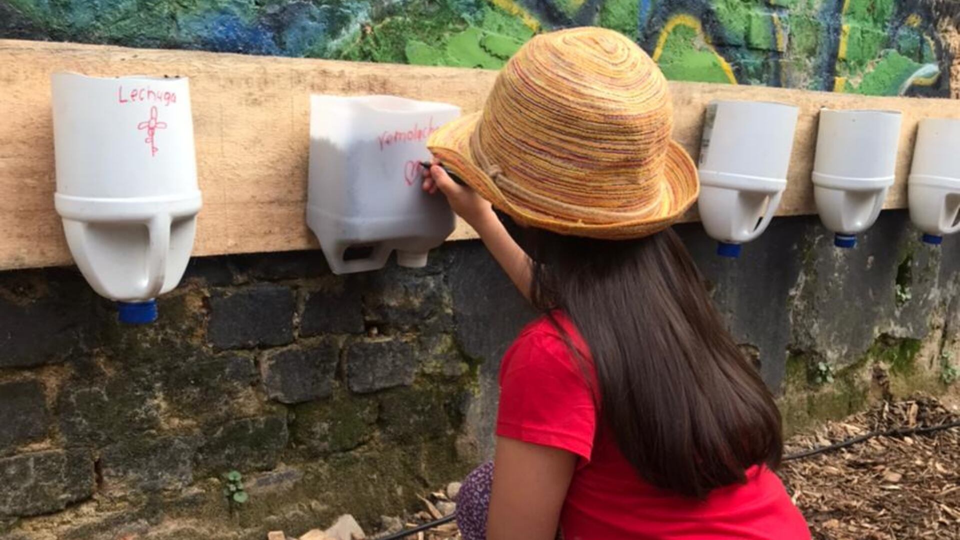 En La Fortaleza se han sembrado especies como remolacha, repollo, perejil liso, cebollín, ajo de hoja, tomate, brócoli, canelón, entre otras.