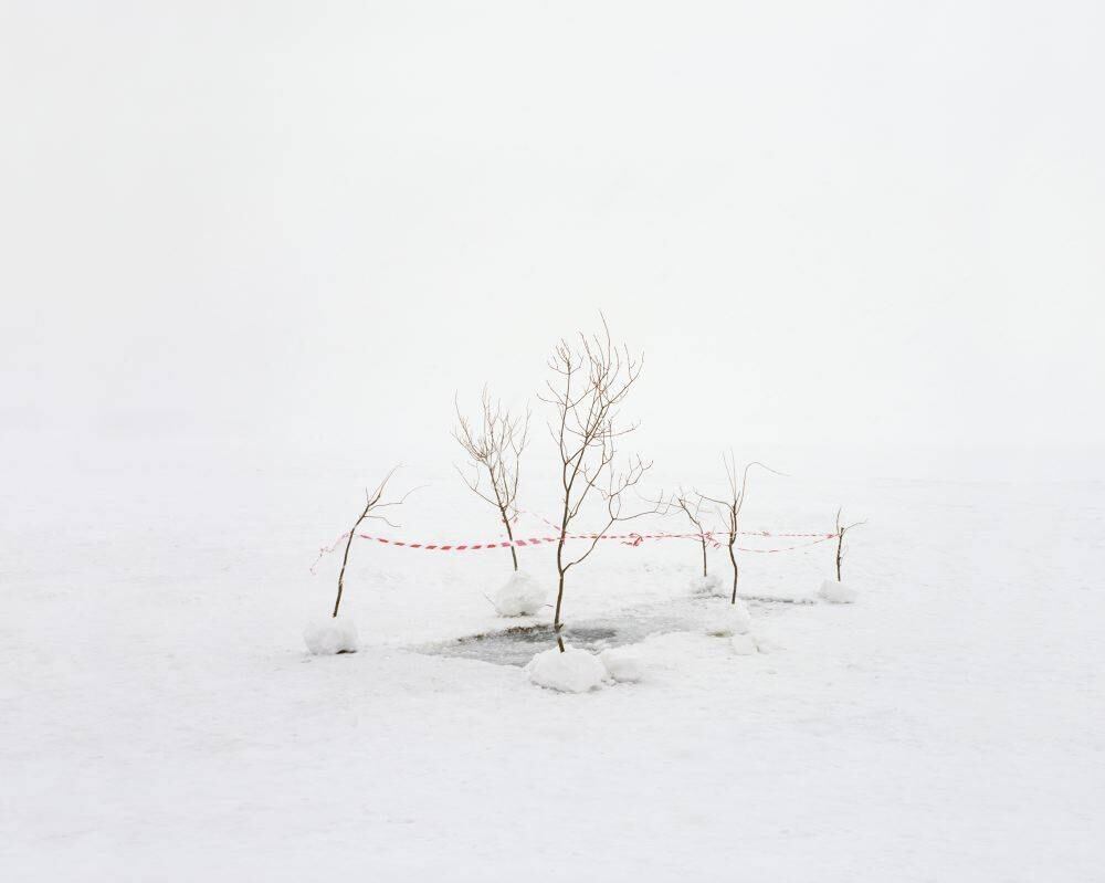 Danila Tkachenko- Rusia. SGR Galería. Calle 74 # 22-28 Hora de Inauguración: 3:00 pm. Sábado 20 de Mayo