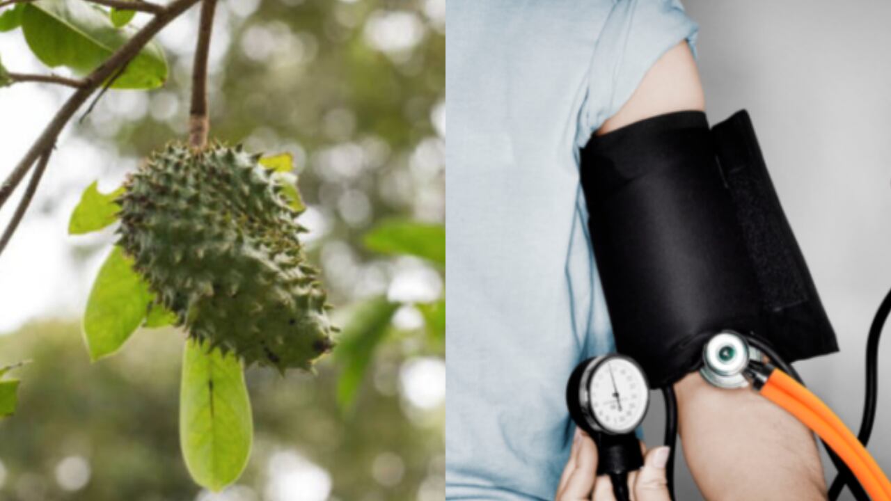 La guanábana trae multiples beneficios para la salud, entre ello, bajar la presión alta.