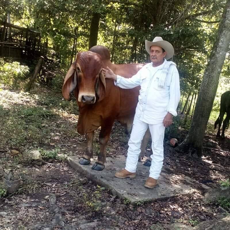 José Uldarico Castillo Aguilar, tenía 70 años.