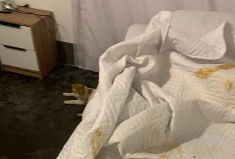 La víctima es una profesora del mismo colegio en el municipio de Montañita, Caquetá. La Fiscalía investiga y la Gobernación no responde.