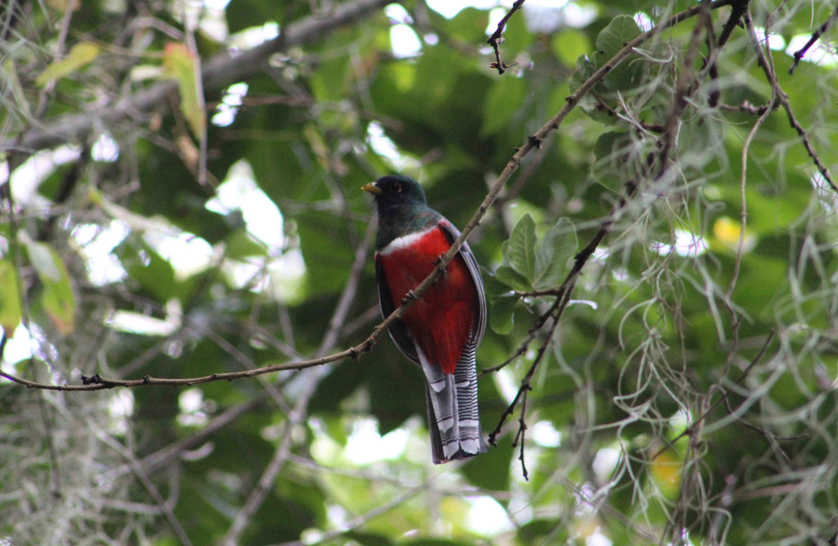 Cerca de 182 personas de se encuentran asentadas en la zona.  Foto: Ingenio Providencia 