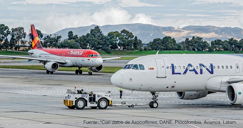 Las diferentes rutas utilizadas para exportar las flores.
