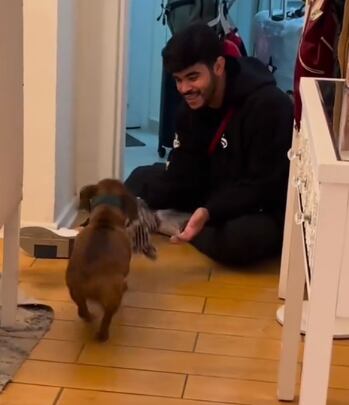 El pequeño can fue por su juguete para entregarlo a su amo.