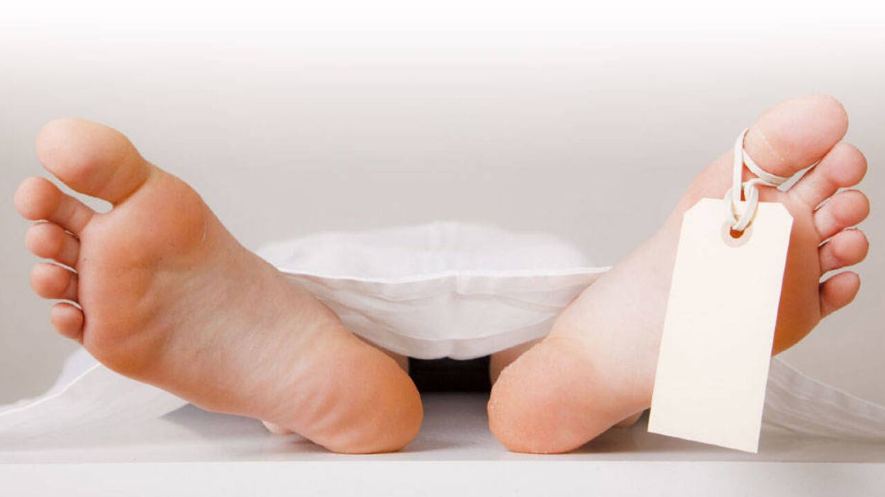 Todos tienen la experiencia de la luz brillante y la paz infinita, pero solo unos pocos recuerdan. Foto: 123RF