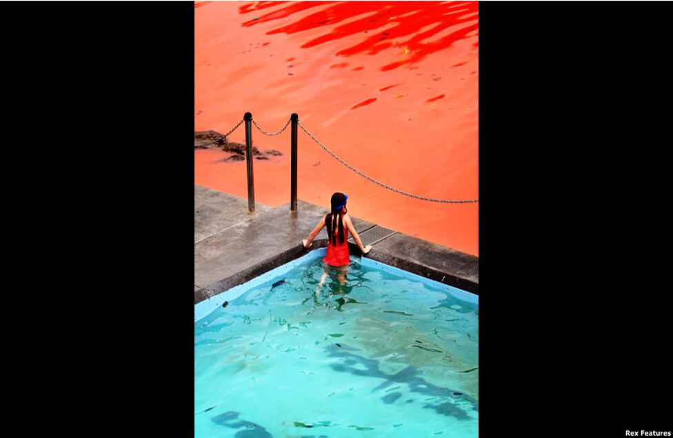 Los medios locales dicen que las algas pueden provocarles irritación en la piel a algunas personas.
