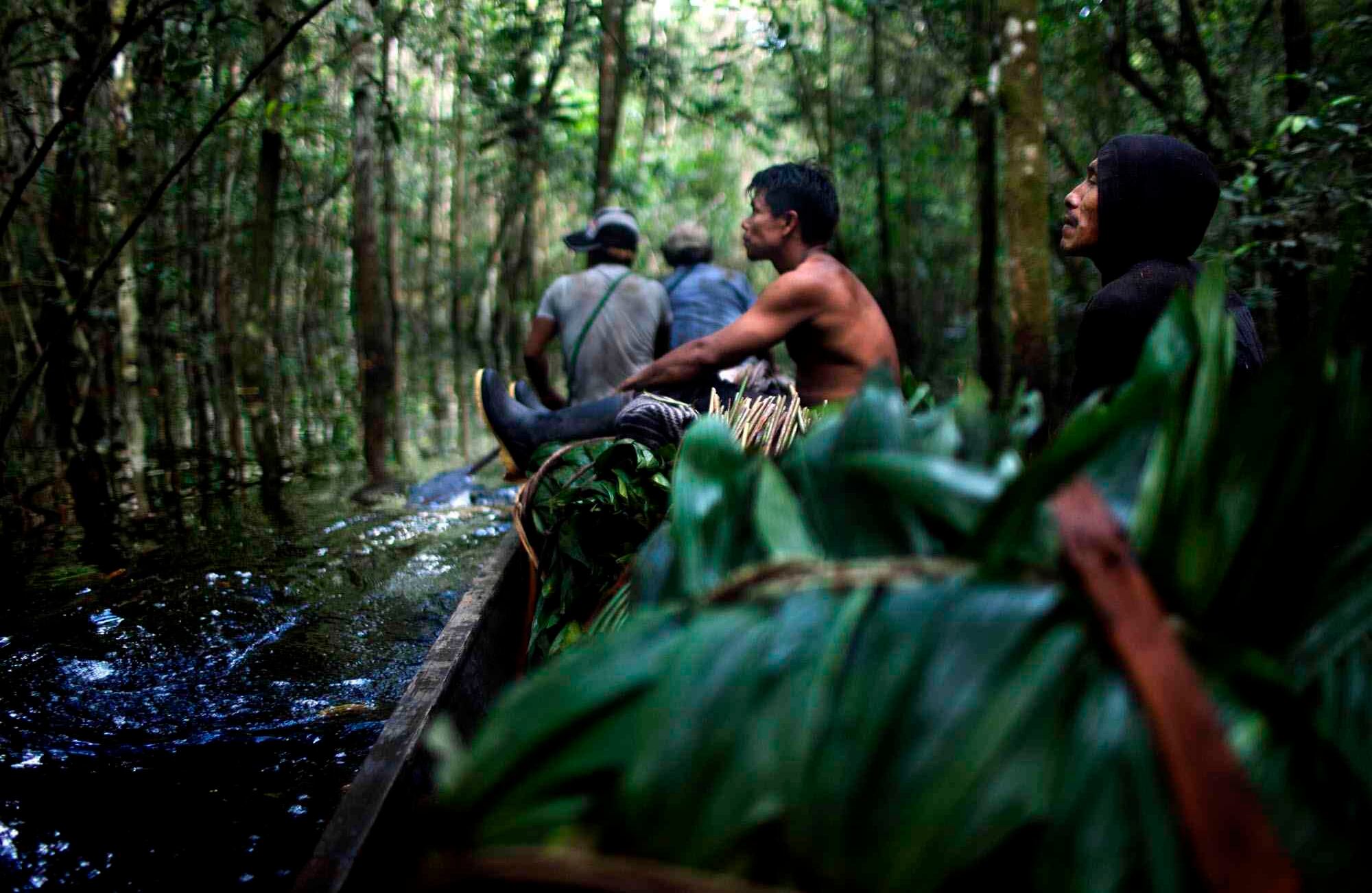 Sumergido en lugares inhóspitos, ha retratado los rostros, manos y procesos que la llevan desde sus lugares de concepción ancestral, anclados a los significados que tiene en los pueblos originarios de Suramérica, su procesamiento en los laboratorios ocultos, hasta su uso como narcótico en las ciudades y sus destinos en los Estados Unidos. Foto: Carlos Villalón.