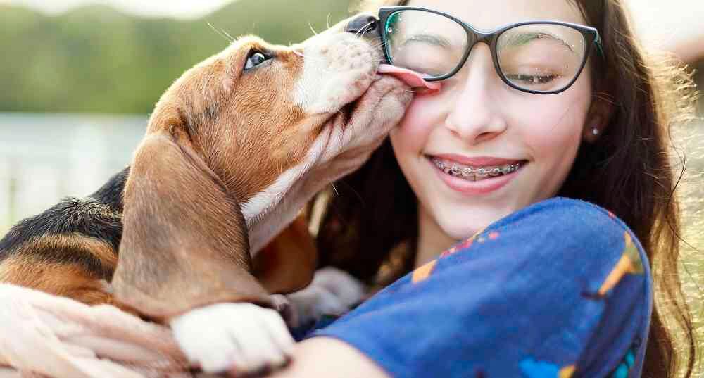 Existen algunas razas que por su carácter tienen mejor relación con los niños.