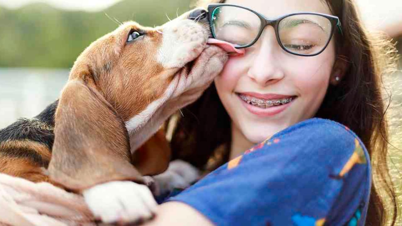 Existen algunas razas que por su carácter tienen mejor relación con los niños.