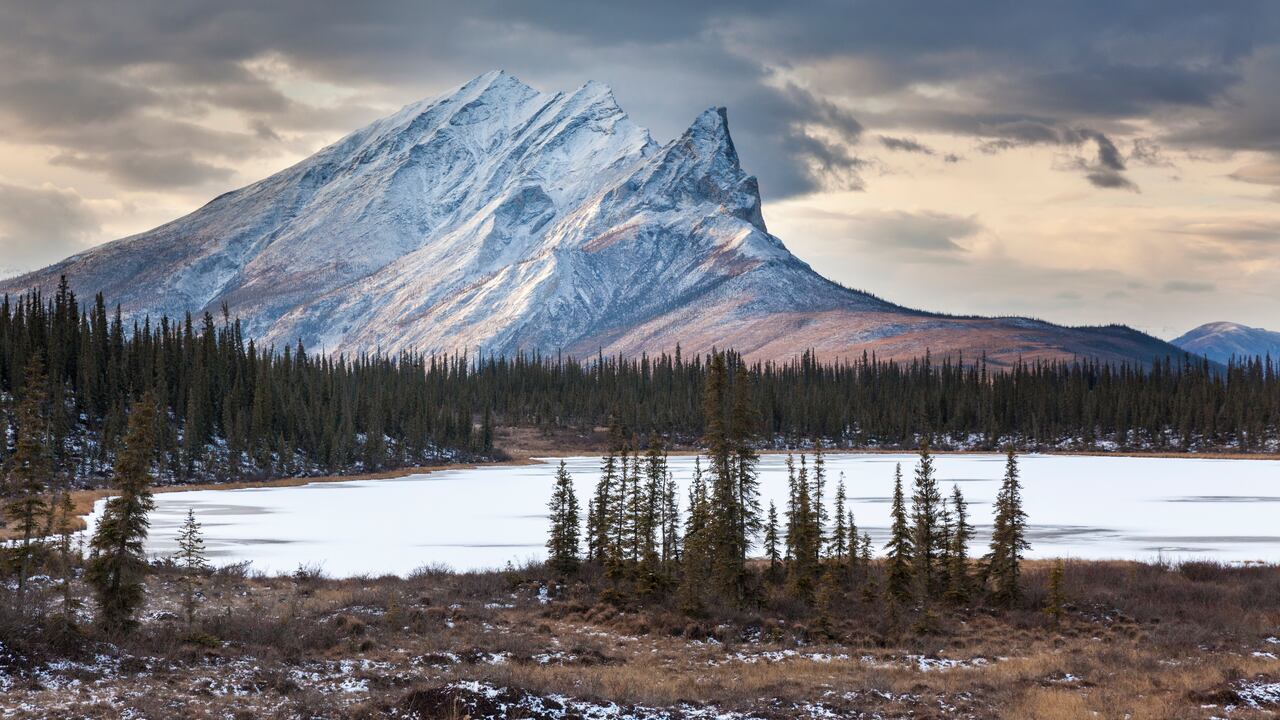 Imagen de referencia, no corresponde al caso en mención.