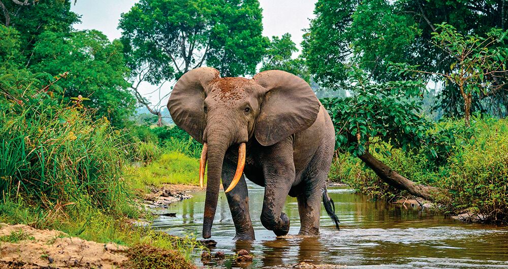 El mundo necesitala COP16 _2