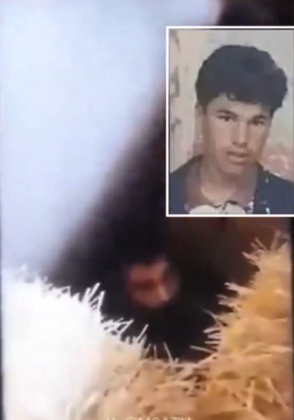 Las imágenes se dieron a conocer en las redes sociales