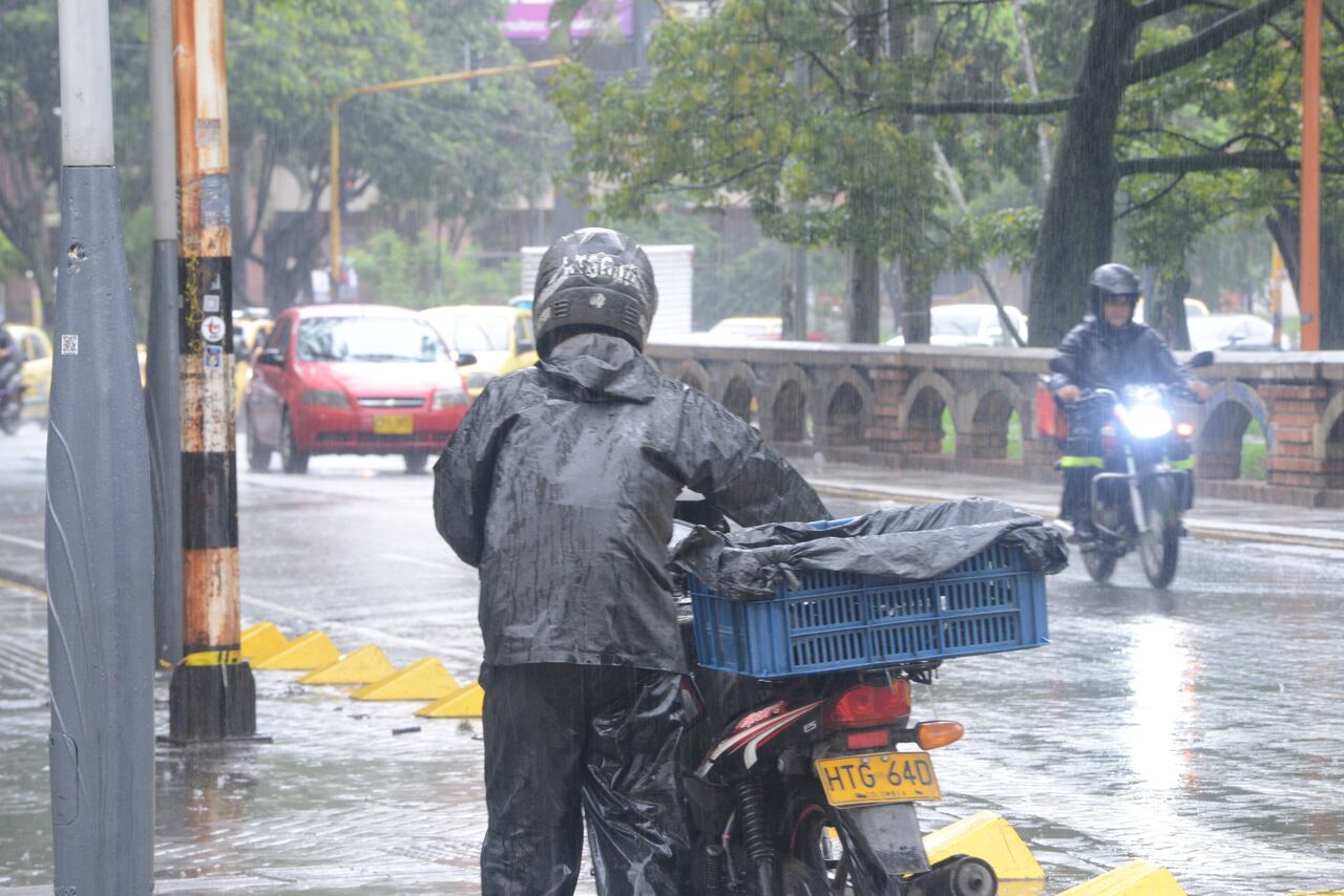 Cali: Lluvias en la ciudad desde tempranas horas de mañana generan caída de árboles en el oeste de Cali