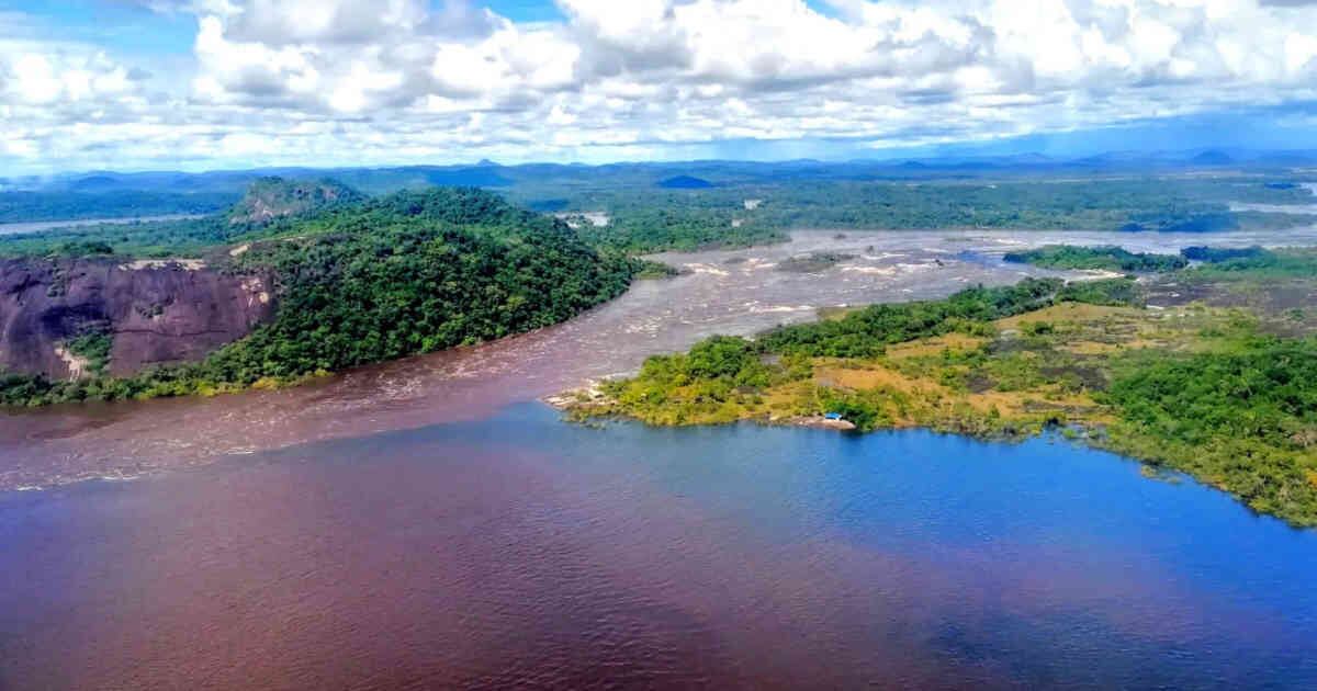  Se estima que el parque alberga más de 320  especies de aves.