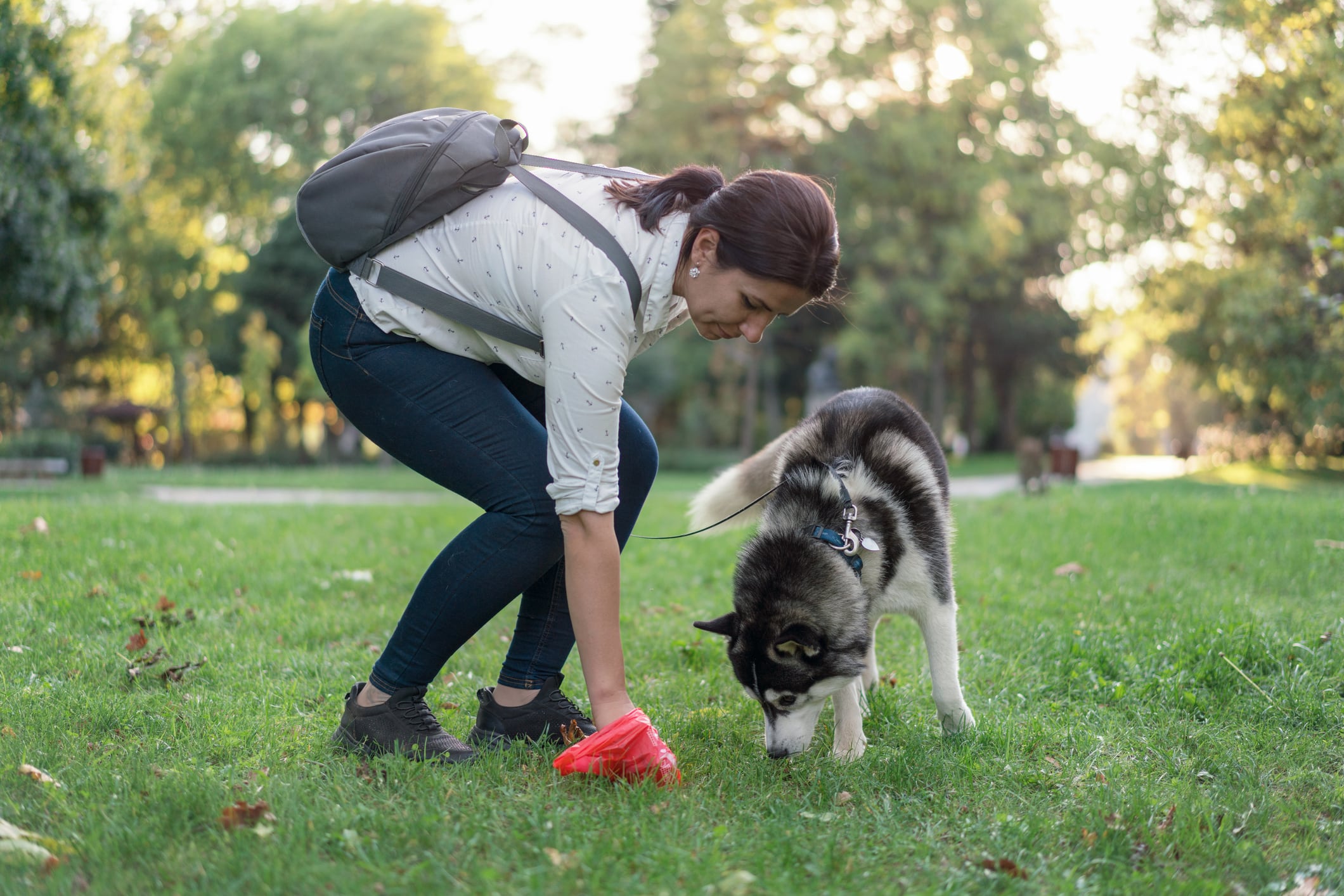 Mujer recogiendo heces de los perros