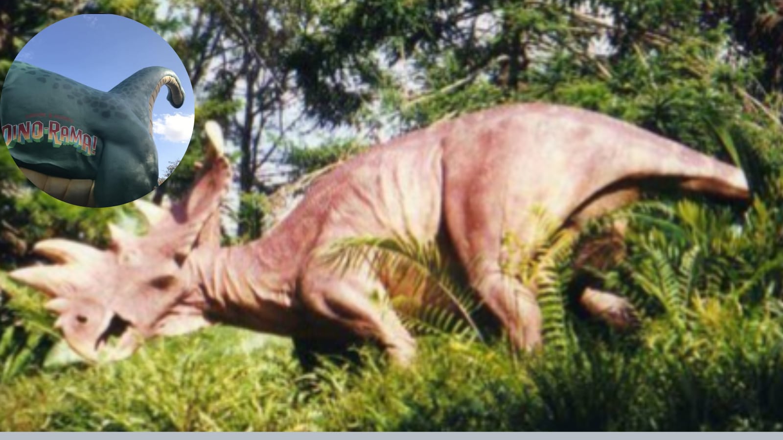 La icónica atracción cerró sus puertas tras años de recibir a miles de visitantes.