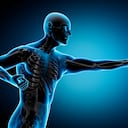 Sistema Inmunológico