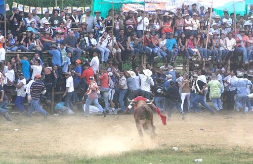 Corraleja, Carnaval de Riosucio / Profesional
Las corralejas de Riosucio, Caldas,  son distintas a las de la costa atlántica, pues no se permite maltrato al toro, sino solamente el intento de sacarle un pase. El Carnaval de Riosucio se celebra cada dos años y es uno de los seis Patrimonios Inmateriales de la Nación. Tiene raíces culturales de la colonia, de la mezcla entre europeos, indígenas, negros y mestizos que habitaron esta zona minera del occidente de Caldas. 
