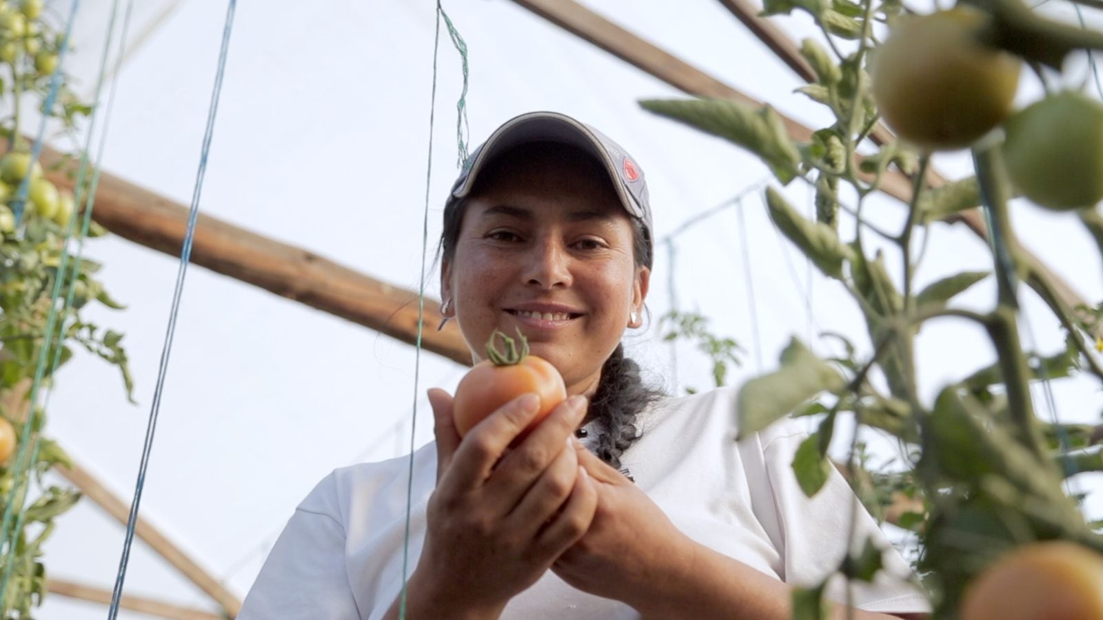 Cada inversión contribuye al crecimiento de más de 236.000 microempresarios, quienes acceden a microcréditos para fortalecer sus negocios.