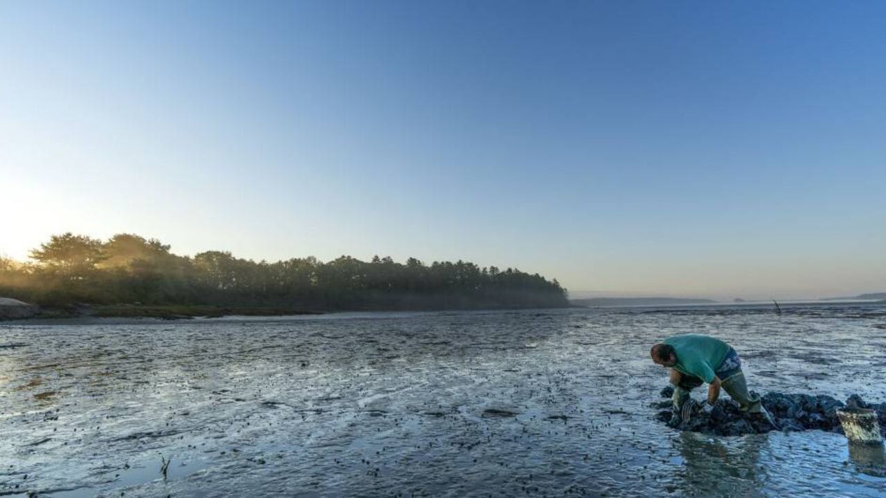 BM: Latinoamérica debe aprovechar pospandemia para el crecimiento verde.