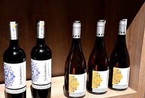 Wine Fest 2024, un encuentro de sabores y cultura, que deleitó a Cali con su degustación de vinos y variedad gastronómica
Caleños y turistas se reunieron en la Plazoleta Jairo Varela, el lugar perfecto para maridar sus vinos favoritos con el exquisito sabor culinario de la región.