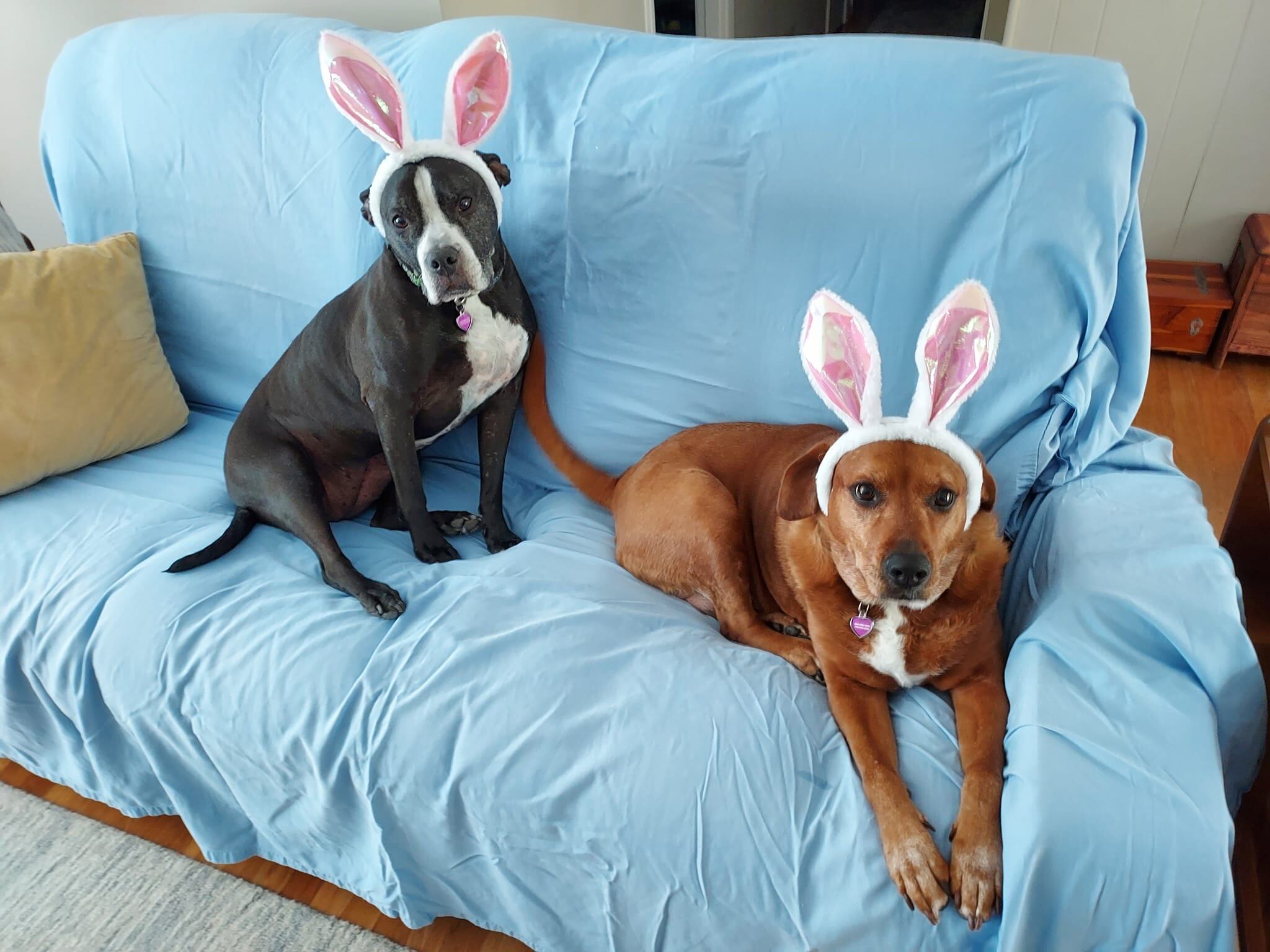 Después de ocho años, Kala y Keira continúan juntas.