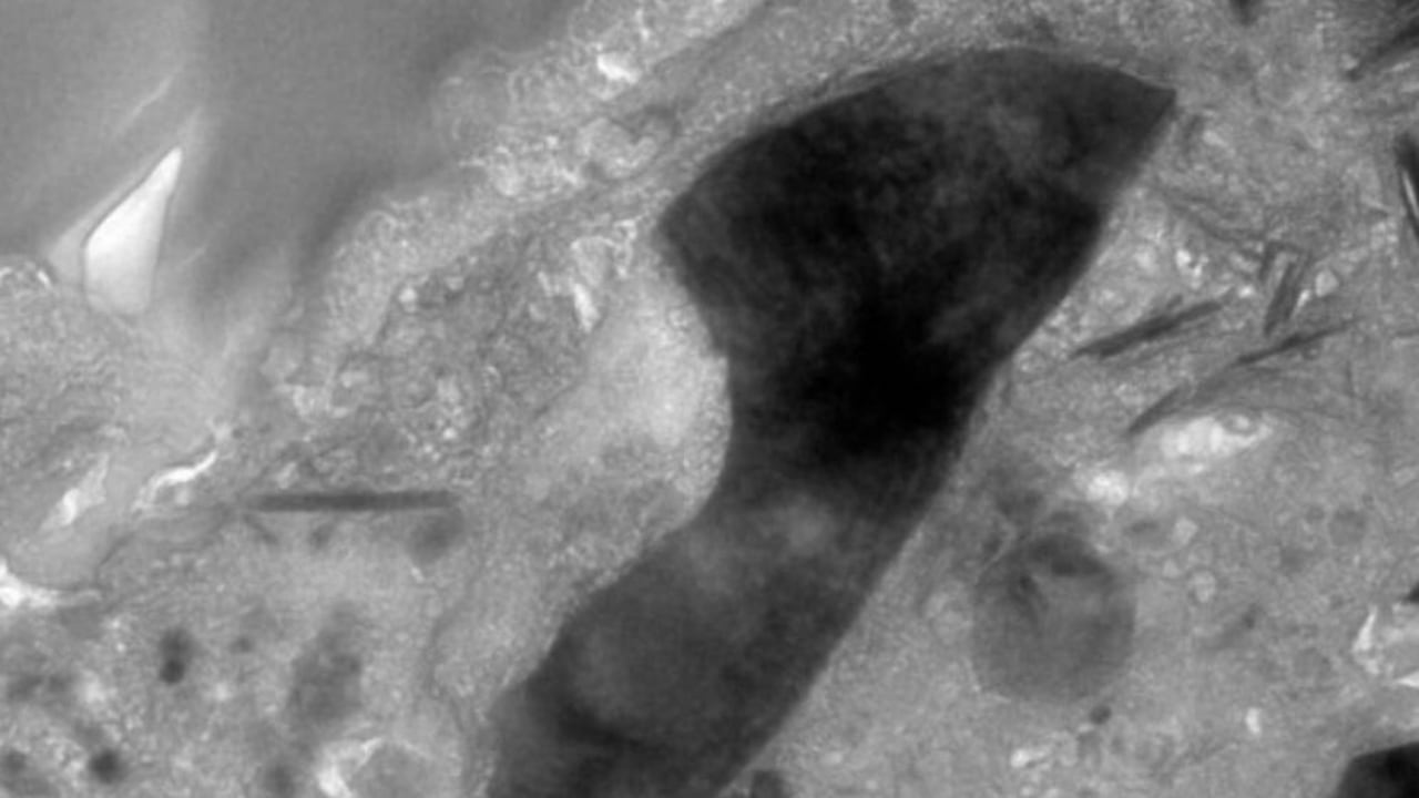 Un hallazgo en el asteroide Ryugu puso en duda lo que se sabía del sistema solar.