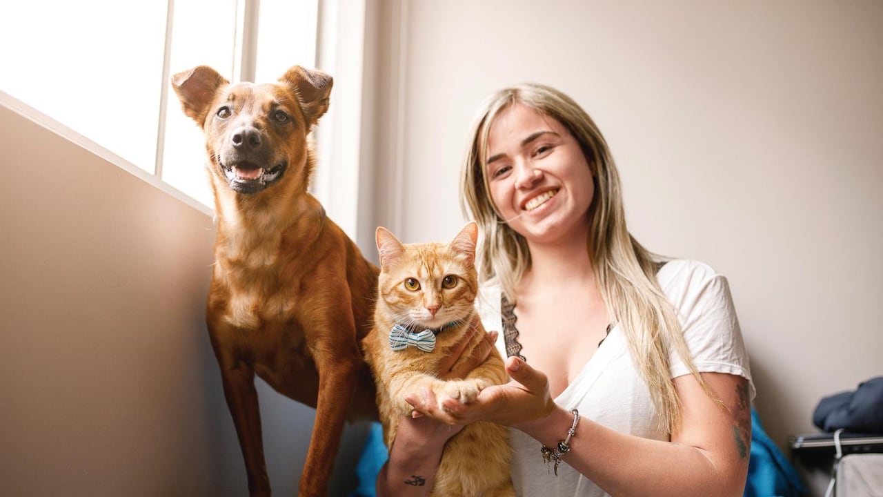 La compañía ofrece recogida y traslado en perímetro urbano, cremación individual o colectiva, entrega de cenizas en urna conmemorativa y recordatorios simbólicos que ayudan a honrar su memoria.