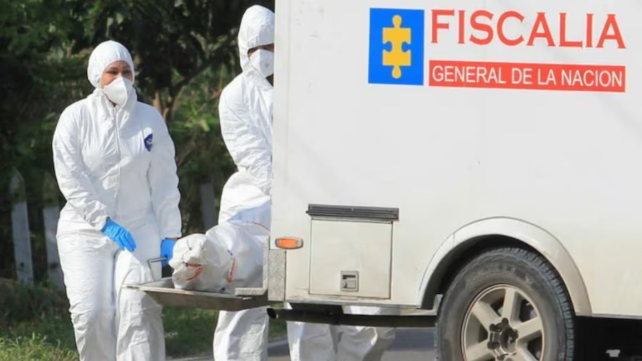 Las alarmantes cifras de muertes violentas en la era Petro; el 2024, el más crítico, con 29.290 casos.