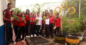 Iniciativa ambiental de la Cuenca Amazónica.