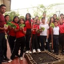 Iniciativa ambiental de la Cuenca Amazónica.