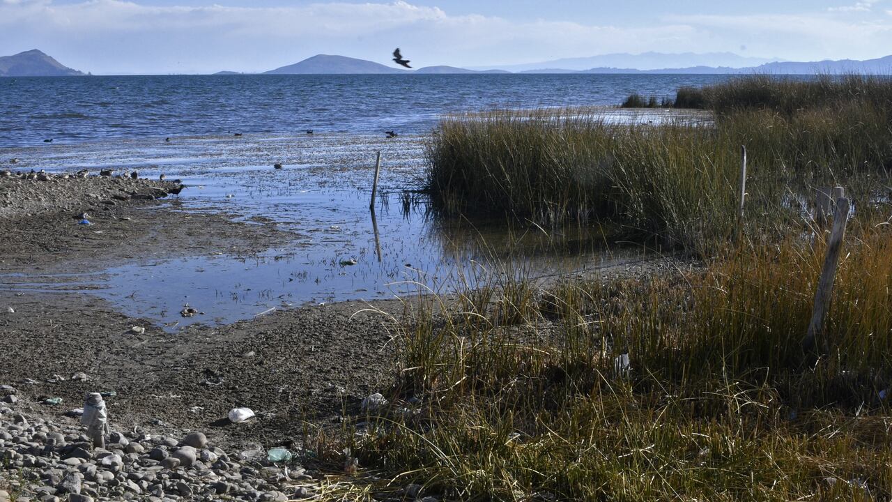 El nivel del agua del lago Titicaca, a 3.807 metros sobre el nivel del mar, hoy se ubica 25 centímetros por encima del mínimo histórico registrado en 1996, dijo a la AFP Lucia Walper, jefa de la Unidad de Pronósticos del Servicio Nacional de Hidrología y Meteorología (Senhami) de Bolivia, el 10 de agosto de 2023. (Foto de Aizar RALDES / AFP)