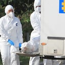 Cti, levantamiento, cadaver, imagen de referencia.