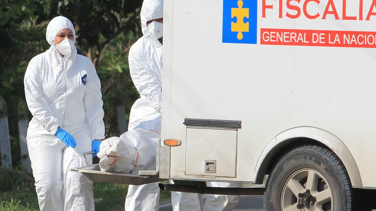 Cti, levantamiento, cadáver, imagen de referencia.