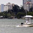 Vista de un piano de cola de color negro que apareció como por arte de magia esta semana en un banco de arena en aguas de la bahía de Cayo Vizcaíno, Florida (EE.UU.) y que permanecerá de momento en ese lugar, informaron las autoridades. La Comisión para la conservación de la Pesca y la vida Salvaje de Florida (FWC) indicó que no retirará el desvencijado piano de cola del lugar en donde se encuentra, por lo que puede convertirse en un nuevo hábitat natural para las gaviotas y otros pájaros.