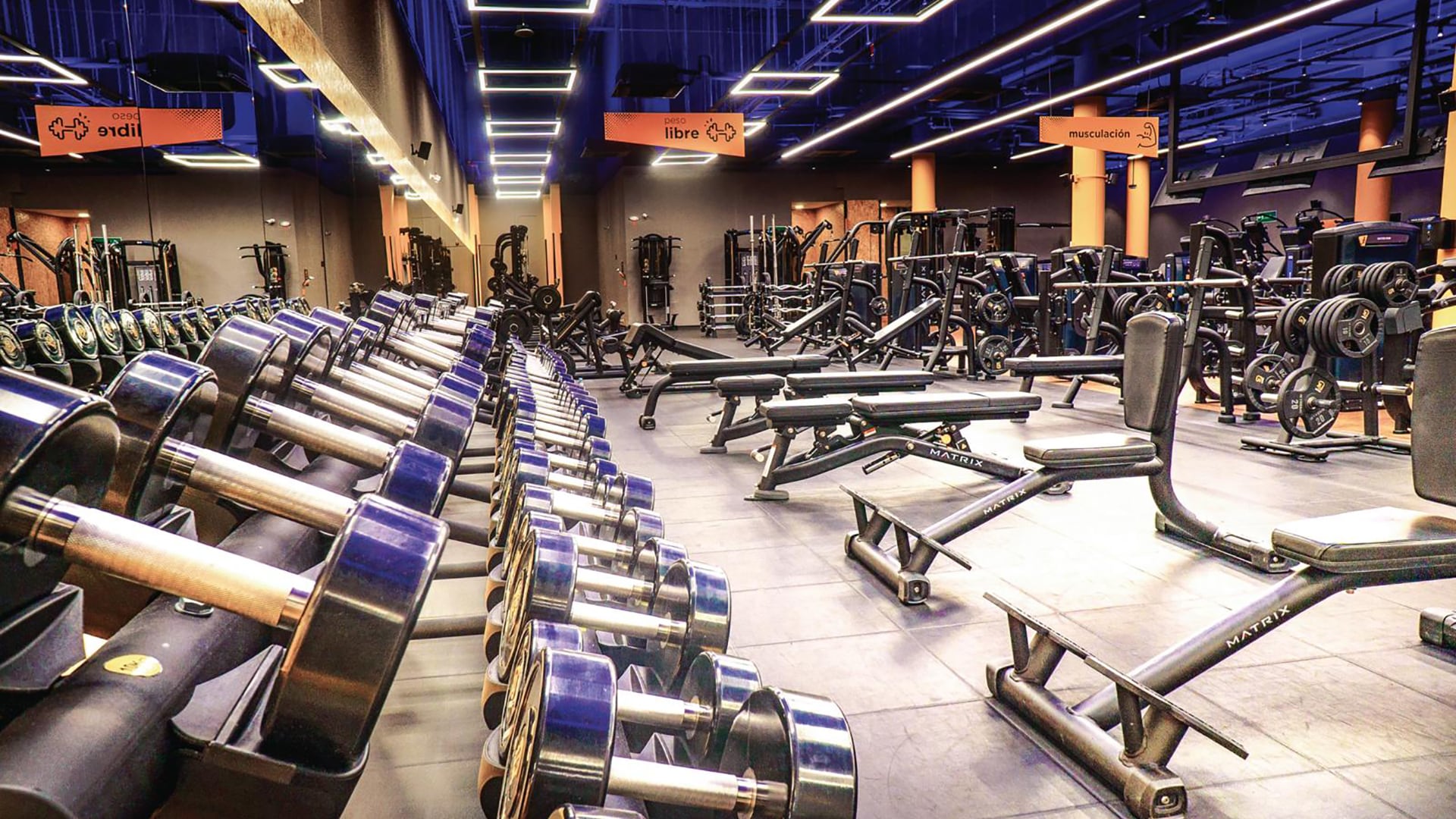 Especial Empresas que construyen país, Sporty