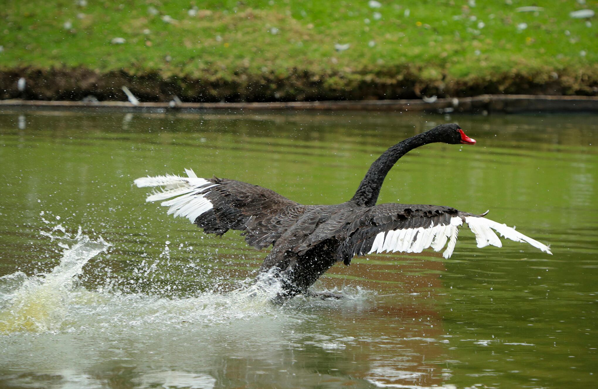Bioparque Wakata / parque Jaime Duque
