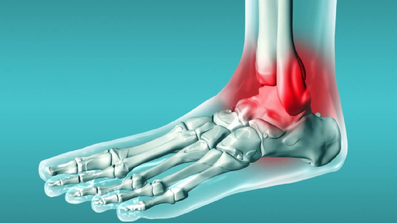 El calcio se encuentra principalmente en los huesos y dientes.