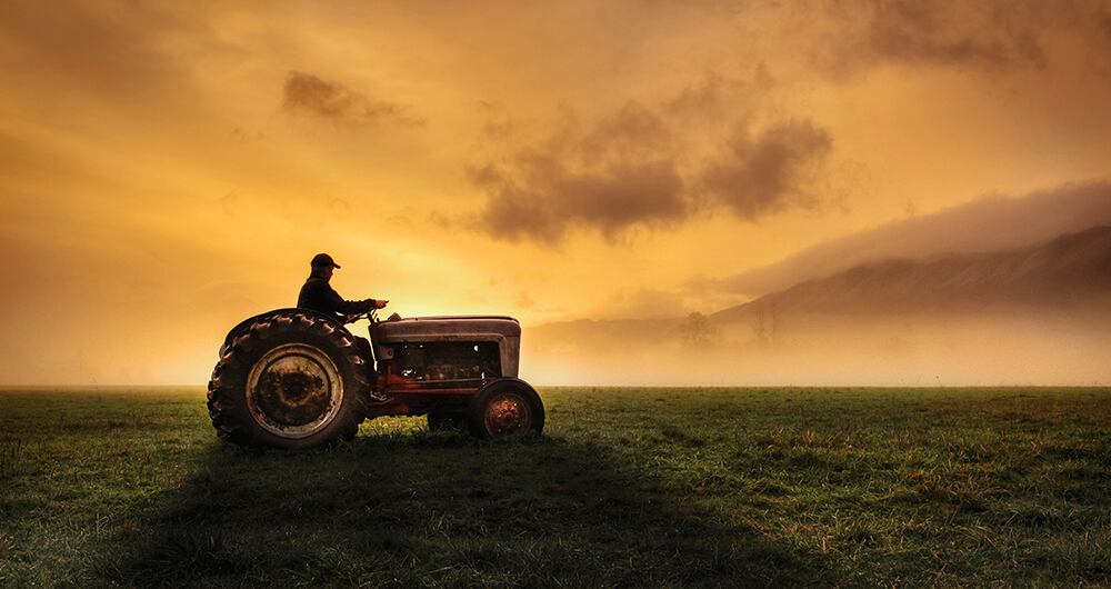Para asegurar la soberanía alimentaria, el Gobierno creó las Áreas de Protección para la Producción de Alimentos (Appa), una figura que ha sido polémica.