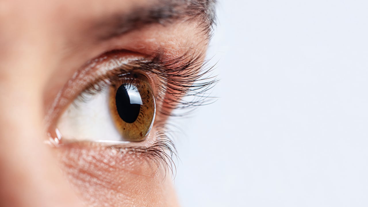 De acuerdo con el Instituto Distrital de Ciencia, Biotecnología e Innovación en Salud (IDCBIS), la falta de donaciones es una de las causas principales de este crítico y doloroso déficit.