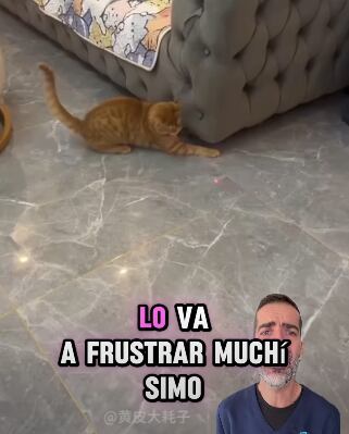 El experto advirtió que este tipo de entretenimiento puede alterar el equilibrio emocional del animal.