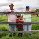 Las aseguradoras están concentradas en el fortalecimiento de la educación financiera en seguros entre la población.