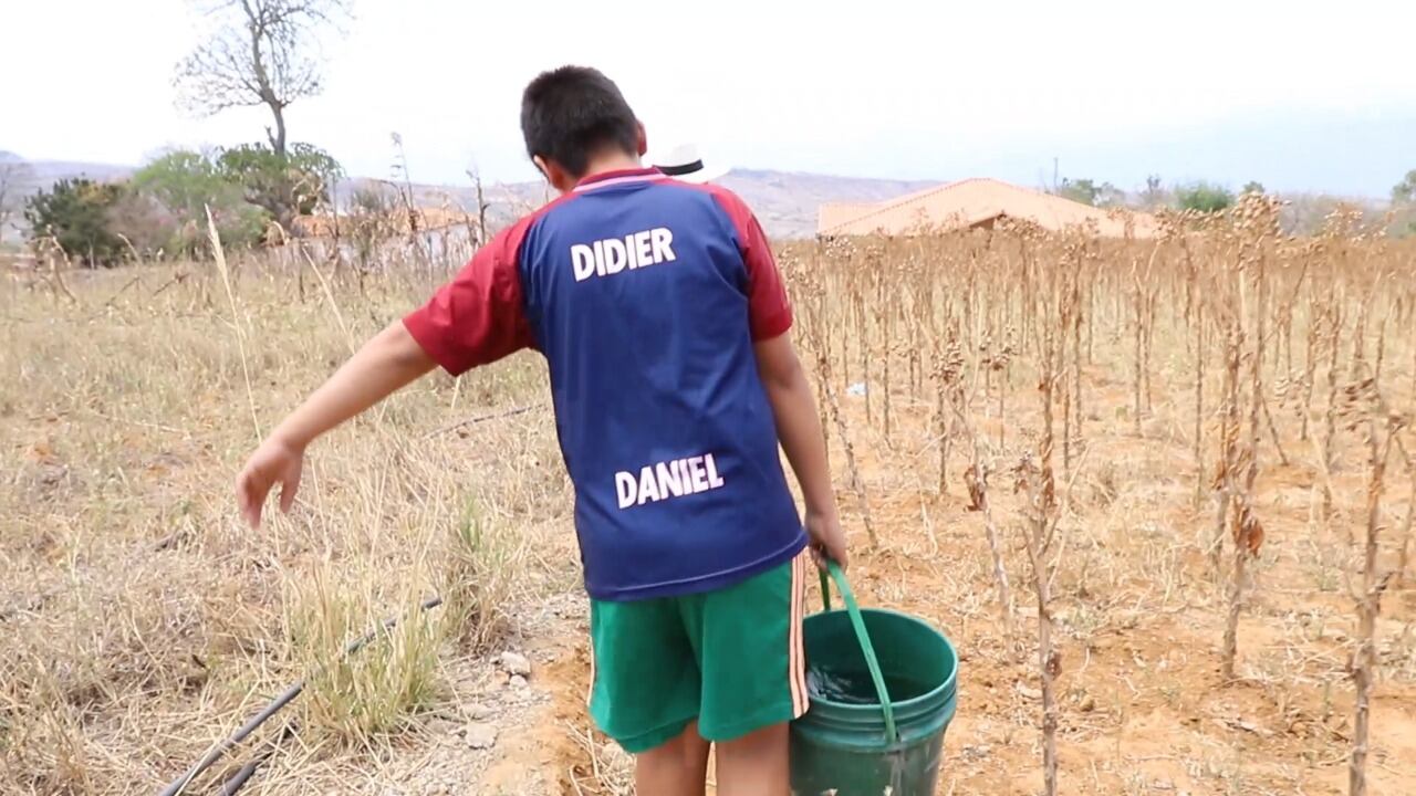 Además de los incendios, algunas comunidades santandereanas se enfrentan escasez de agua para el consumo y los cultivos. Foto: Cortesía Gobernación de Santander