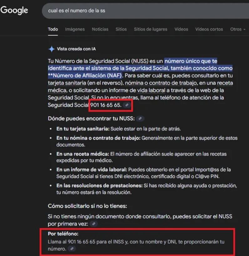 Un trámite común mostró la fragilidad de los buscadores frente a estafas.