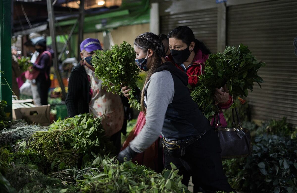 Mercados Samper Mendoza y Paloquemao