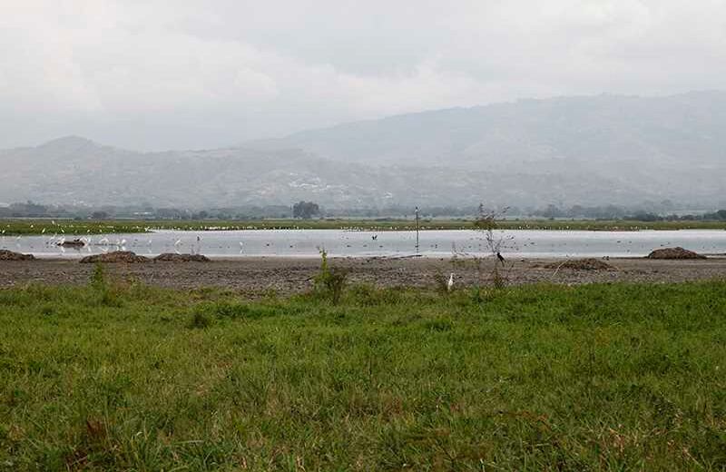 Laguna Sonso / Foto: Luis Ángel Murcia