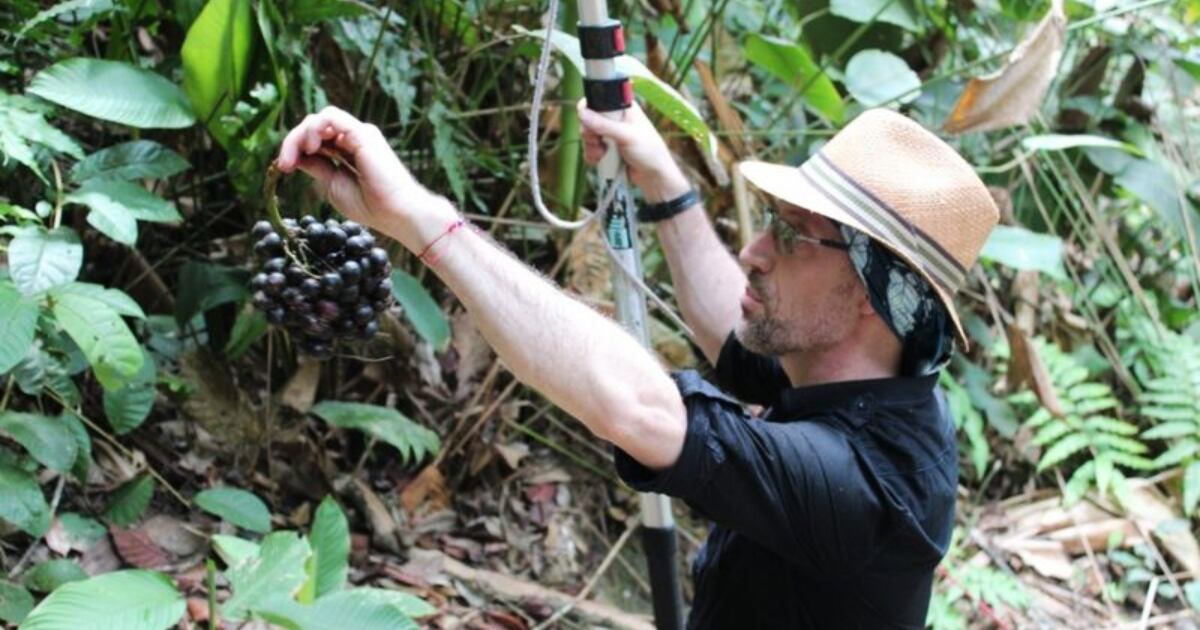 Mauricio Diazgranados, botánico colombiano.