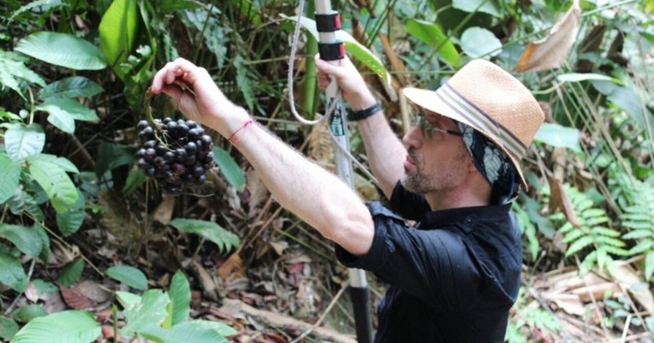 Mauricio Diazgranados, botánico colombiano.